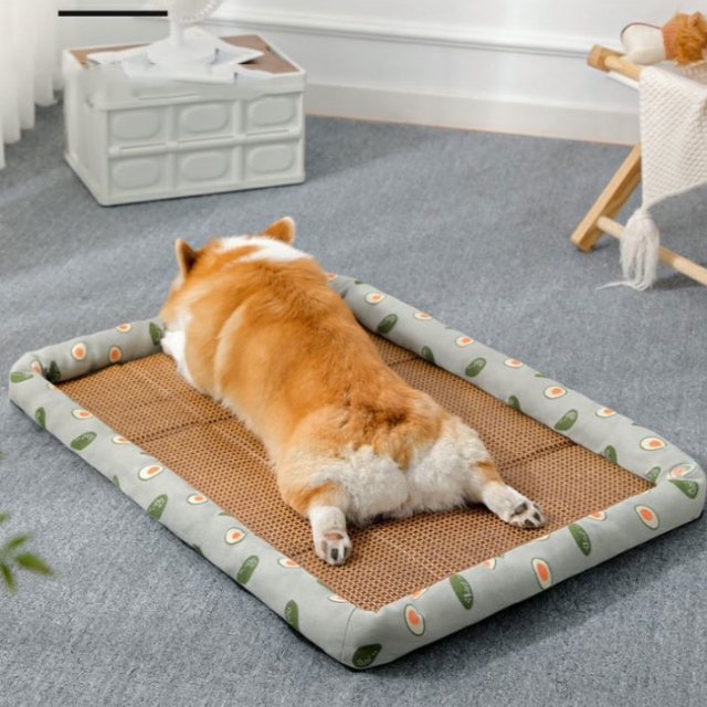 멍냥이 쿠션 돗자리